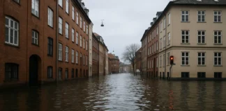 Copenhagen flooding climate change Denmark city street