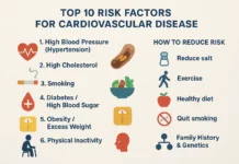 Top 10 cardiovascular disease risk factors illustrated with icons for blood pressure, cholesterol, smoking, diabetes, obesity, inactivity, diet, stress, age, and genetics, with tips for natural heart health